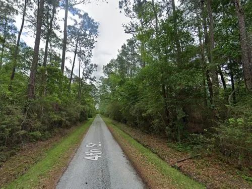 Decorative background for 0.50 Acres for Sale in Bay St. Louis, Mississippi image 6