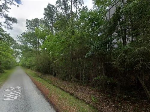 Decorative background for 0.50 Acres for Sale in Bay St. Louis, Mississippi image 8