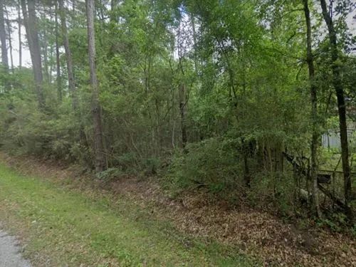 Decorative background for 0.50 Acres for Sale in Bay St. Louis, Mississippi image 9