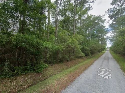 Decorative background for 0.50 Acres for Sale in Bay St. Louis, Mississippi image 10