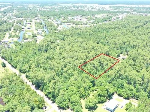 Decorative background for 0.50 Acres for Sale in Bay St. Louis, Mississippi image 12