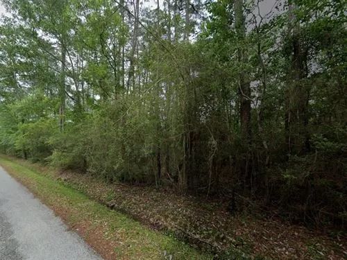 Decorative background for 0.50 Acres for Sale in Bay St. Louis, Mississippi image 13