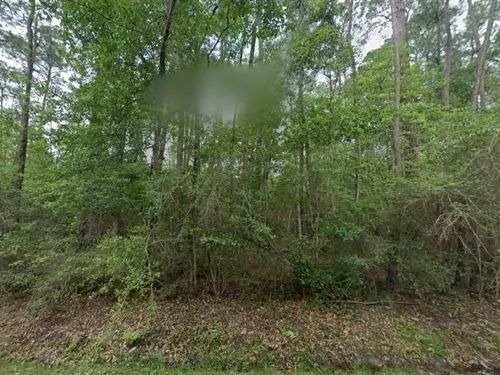 Decorative background for 0.50 Acres for Sale in Bay St. Louis, Mississippi image 16