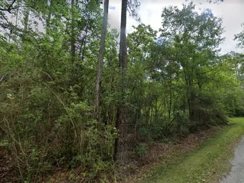 Decorative background for 0.50 Acres for Sale in Bay St. Louis, Mississippi image 17