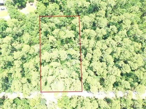 Decorative background for 0.50 Acres for Sale in Bay St. Louis, Mississippi image 20