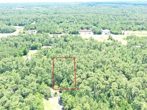 Decorative background for 0.50 Acres for Sale in Bay St. Louis, Mississippi image 24