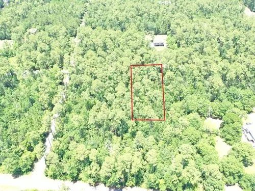 Decorative background for 0.50 Acres for Sale in Bay St. Louis, Mississippi image 28