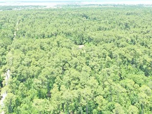 Decorative background for 0.50 Acres for Sale in Bay St. Louis, Mississippi image 29