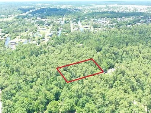 Decorative background for 0.50 Acres for Sale in Bay St. Louis, Mississippi image 31