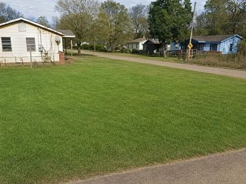0.14 Acres for Sale in Jackson, Mississippi - Image 3