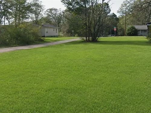 Decorative background for 0.14 Acres for Sale in Jackson, Mississippi image 6
