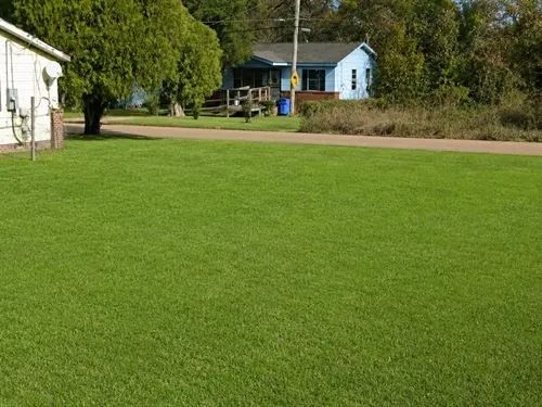 Decorative background for 0.14 Acres for Sale in Jackson, Mississippi image 19