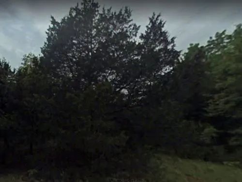Decorative background for 0.42 Acres for Sale in Horseshoe Bend, Arkansas image 7