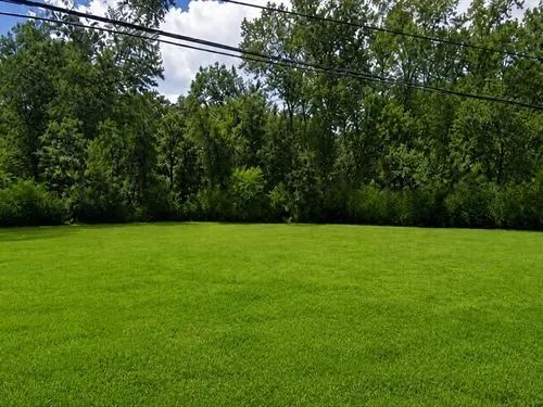 0.2 Acres for Sale in Laurel, Mississippi - Image 3