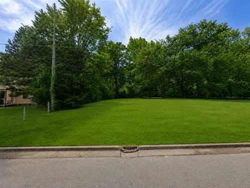 Decorative background for 0.2 Acres for Sale in Laurel, Mississippi image 5