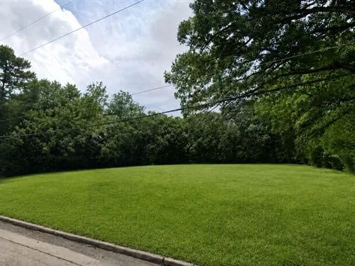Decorative background for 0.2 Acres for Sale in Laurel, Mississippi image 8