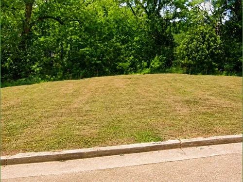 Decorative background for 0.11 Acres for Sale in Vicksburg, Mississippi image 5