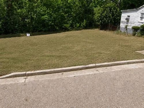 Decorative background for 0.11 Acres for Sale in Vicksburg, Mississippi image 7