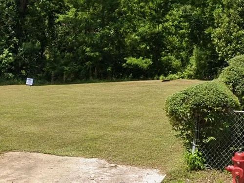 Decorative background for 0.11 Acres for Sale in Vicksburg, Mississippi image 18