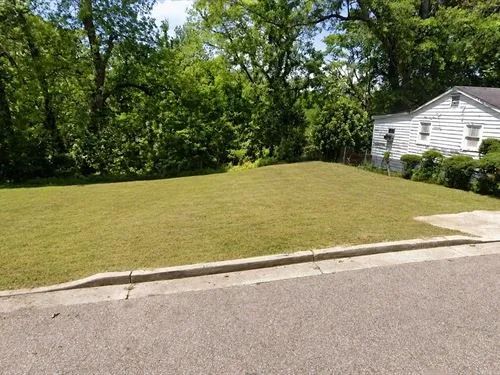 Decorative background for 0.11 Acres for Sale in Vicksburg, Mississippi image 21