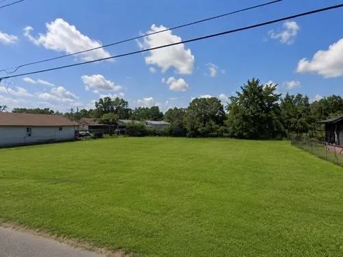 Decorative background for 0.10 Acres for Sale in Canton, Mississippi image 6