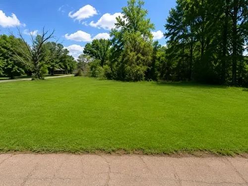 Decorative background for 0.10 Acres for Sale in Jackson, Mississippi image 9