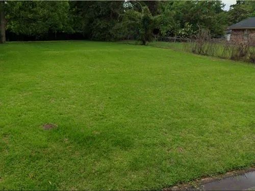 Decorative background for 0.12 Acres for Sale in Laurel, Mississippi image 26