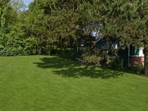 Decorative background for 0.15 Acres for Sale in Jackson, Mississippi image 26