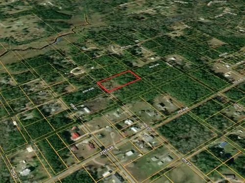 Decorative background for 1.89 Acres for Sale in Pearlington, Mississippi image 6