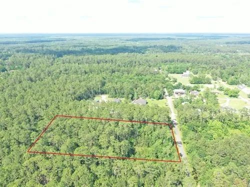 Decorative background for 1.89 Acres for Sale in Pearlington, Mississippi image 7