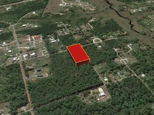 Decorative background for 1.89 Acres for Sale in Pearlington, Mississippi image 9