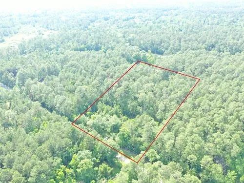 Decorative background for 1.89 Acres for Sale in Pearlington, Mississippi image 11