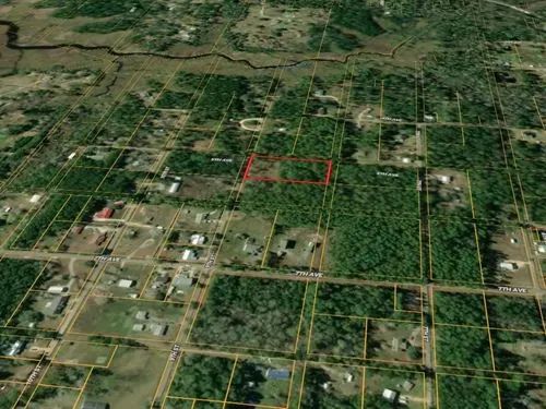 Decorative background for 1.89 Acres for Sale in Pearlington, Mississippi image 13