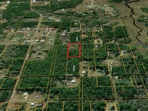Decorative background for 1.89 Acres for Sale in Pearlington, Mississippi image 15