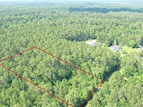 Decorative background for 1.89 Acres for Sale in Pearlington, Mississippi image 18