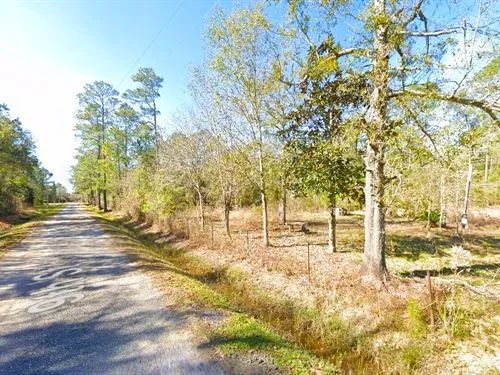 Decorative background for 1.89 Acres for Sale in Pearlington, Mississippi image 19
