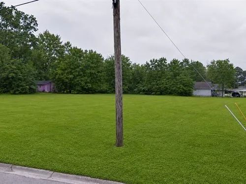 Decorative background for 0.10 Acres for Sale in Laurel, Mississippi image 13
