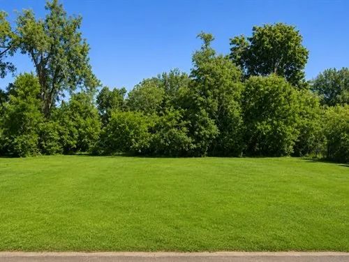 Decorative background for 0.1 Acres for Sale in Clarksdale, Mississippi image 5