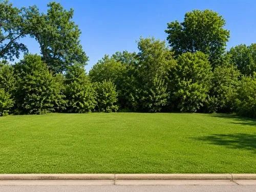 Decorative background for 0.1 Acres for Sale in Clarksdale, Mississippi image 12