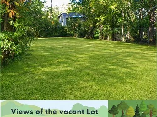 Decorative background for 0.10 Acres for Sale in Jackson, Mississippi image 5