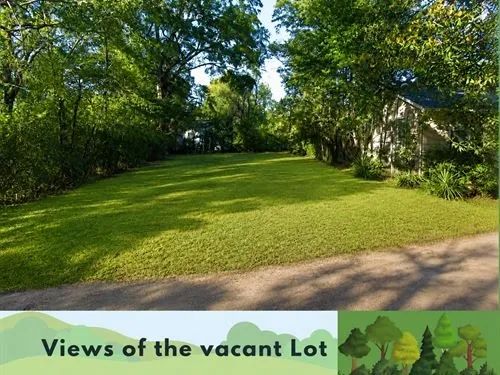 Decorative background for 0.10 Acres for Sale in Jackson, Mississippi image 8