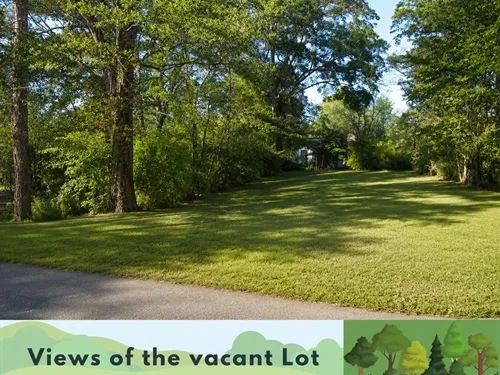 Decorative background for 0.10 Acres for Sale in Jackson, Mississippi image 9