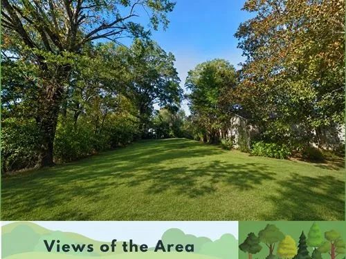 Decorative background for 0.10 Acres for Sale in Jackson, Mississippi image 12