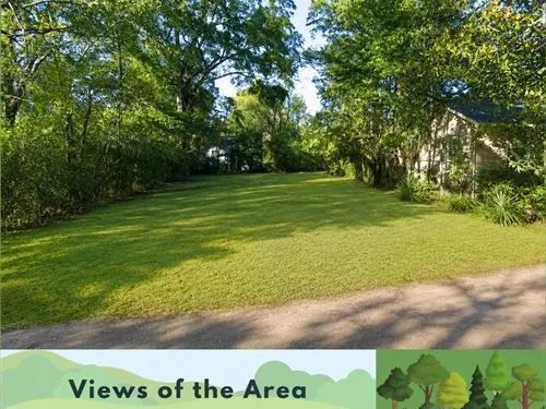 Decorative background for 0.10 Acres for Sale in Jackson, Mississippi image 13