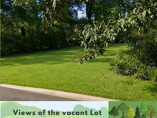 Decorative background for 0.10 Acres for Sale in Jackson, Mississippi image 17