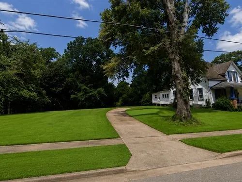 Decorative background for 0.35 Acres for Sale in Laurel, Mississippi image 5