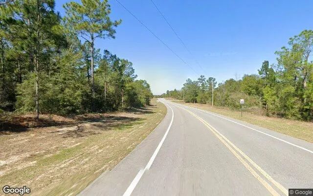 Decorative background for 1.5 Acres in Alford - Jackson County, FL image 5