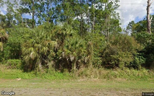 0.63 Acres in Felda - Hendry County, FL in Hendry County, FL