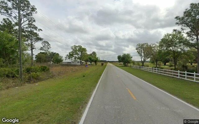 Decorative background for 0.14 Acres in Venus - Highlands County, FL image 6