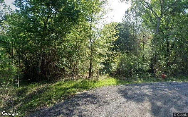 Decorative background for 0.22 Acres in Hampton - Bradford County, FL image 6
